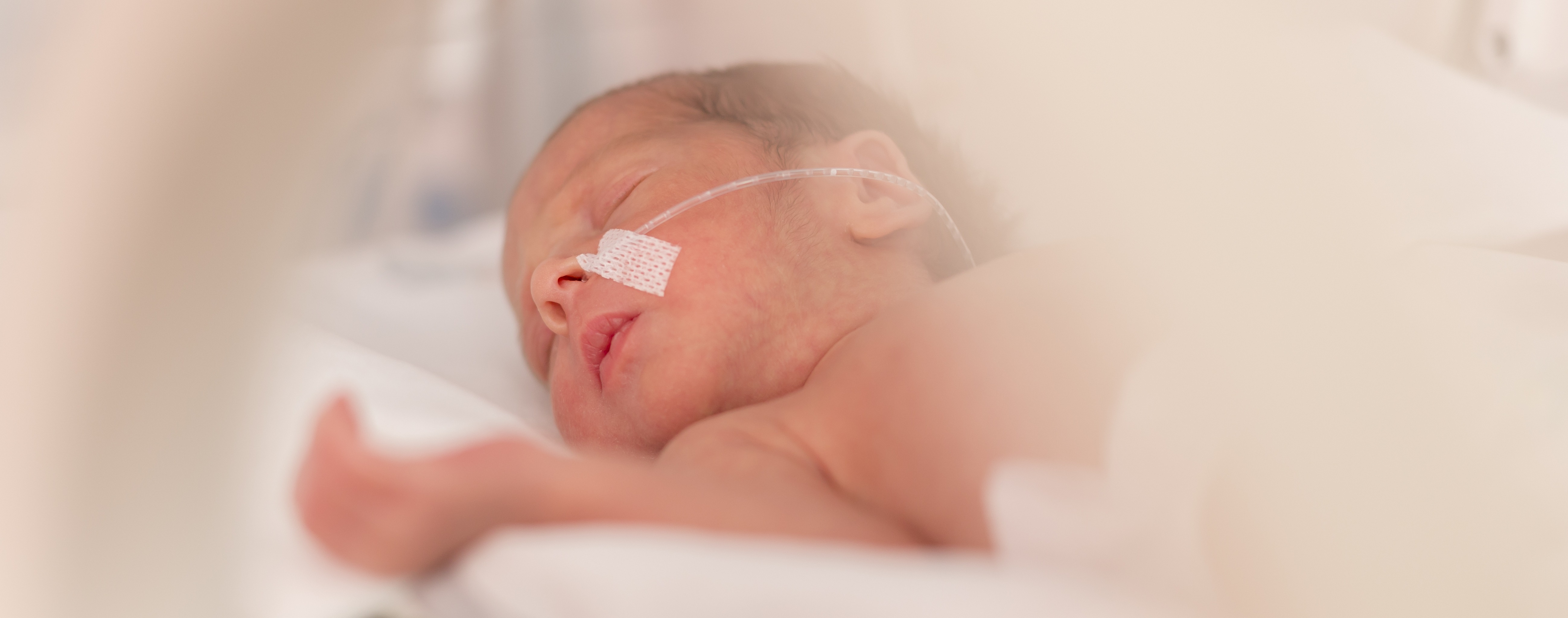 preemie girl 33 week in NICU shutterstock_394780177